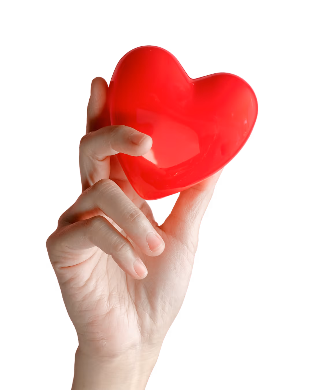 Untitled design (67)